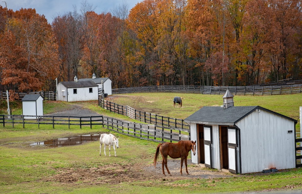 a-quelle-distance-peut-on-mettre-des-chevaux.jpg